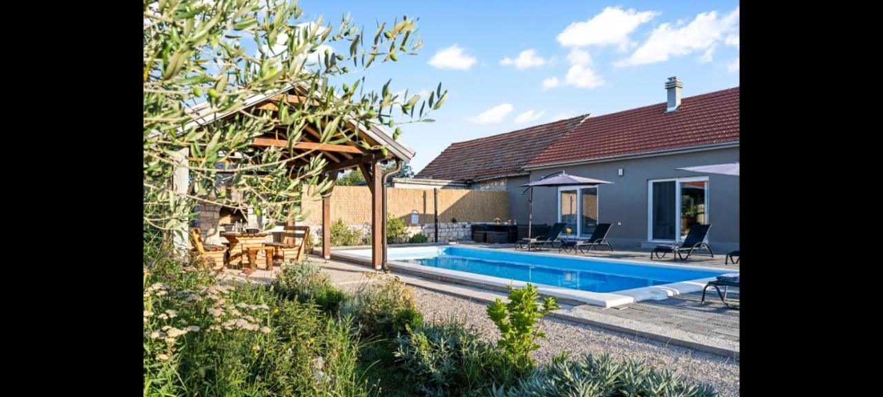 Villa Olive Tree House With Jacuzzi, Wifi And 40M2 Pool à Siritovci Extérieur photo