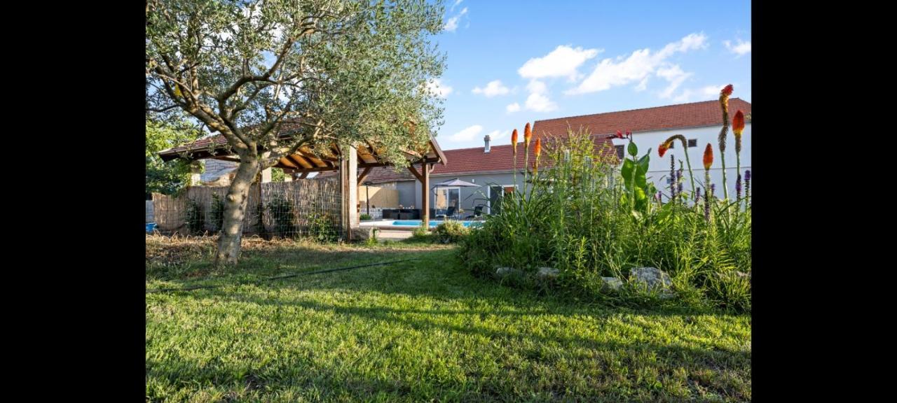 Villa Olive Tree House With Jacuzzi, Wifi And 40M2 Pool à Siritovci Extérieur photo