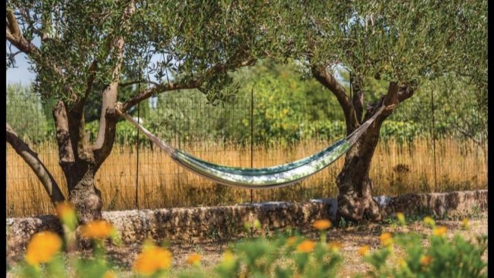 Villa Olive Tree House With Jacuzzi, Wifi And 40M2 Pool à Siritovci Extérieur photo